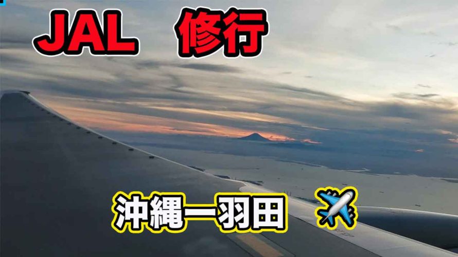 【JAL修行旅行】沖縄ー羽田、夕方の富士山を見ながら✈